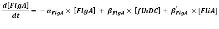 EquationflgA.jpg