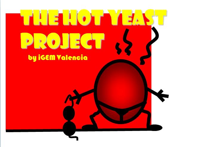 Hot yeast Valencia.jpg