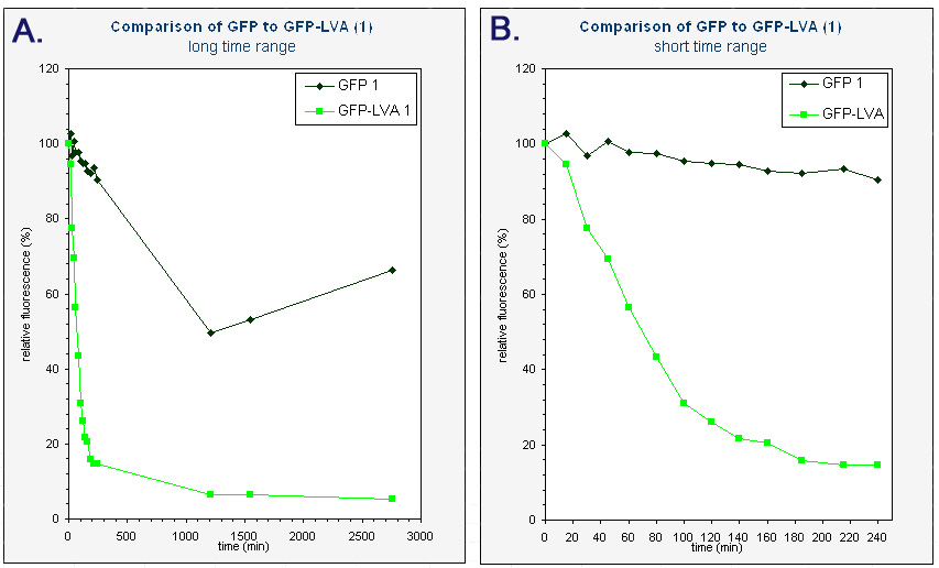 Data-GFP(1)b.JPG