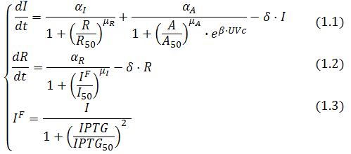Equazioni4.jpg