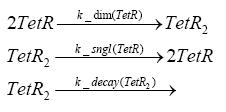 Dimerization of tetR.JPG