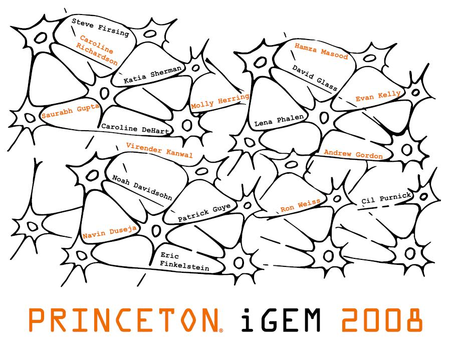 Design Princeton.jpg
