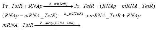 Transcription of tetR.JPG