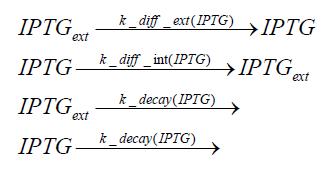 Diffusion IPTG.JPG