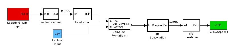 GFP Production Model in Simulink