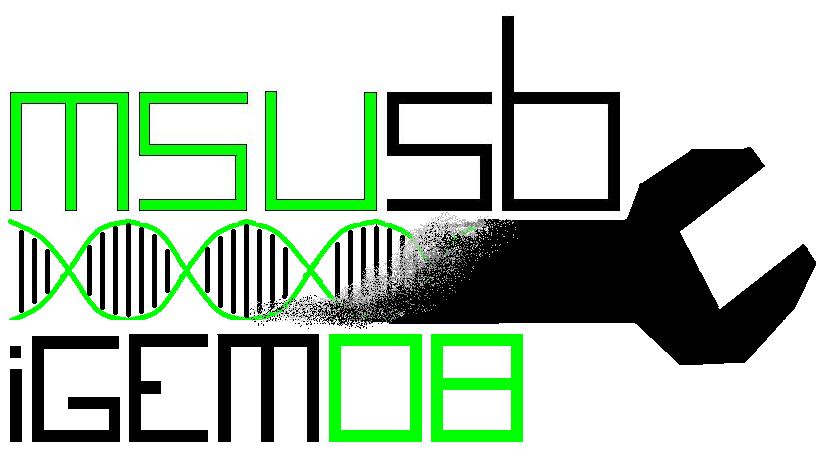 Msusb logo.JPG