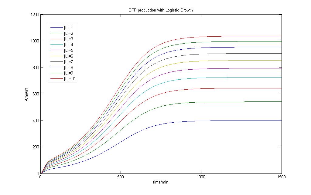 GFP Production Model Result