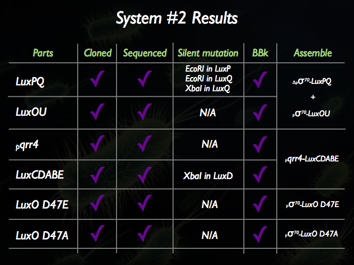 System 2 Results.jpg