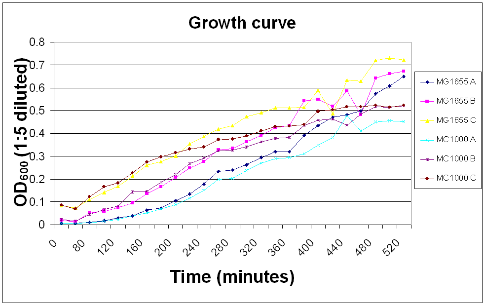 BCCS-080721-growth curve E. coli MC1000 and MG1655.PNG