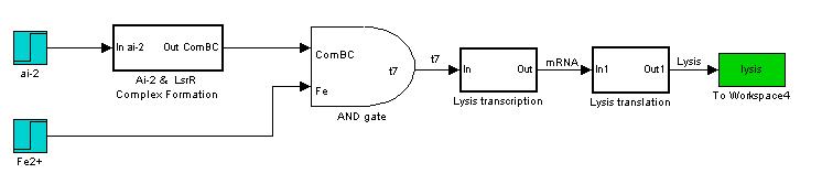 Lysis Production Model
