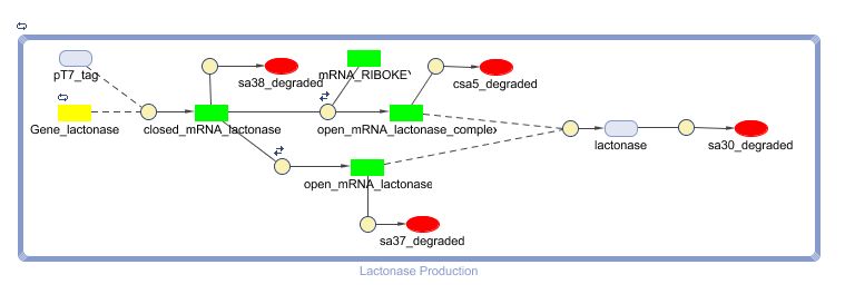 LactonaseProduction Matlab.jpg