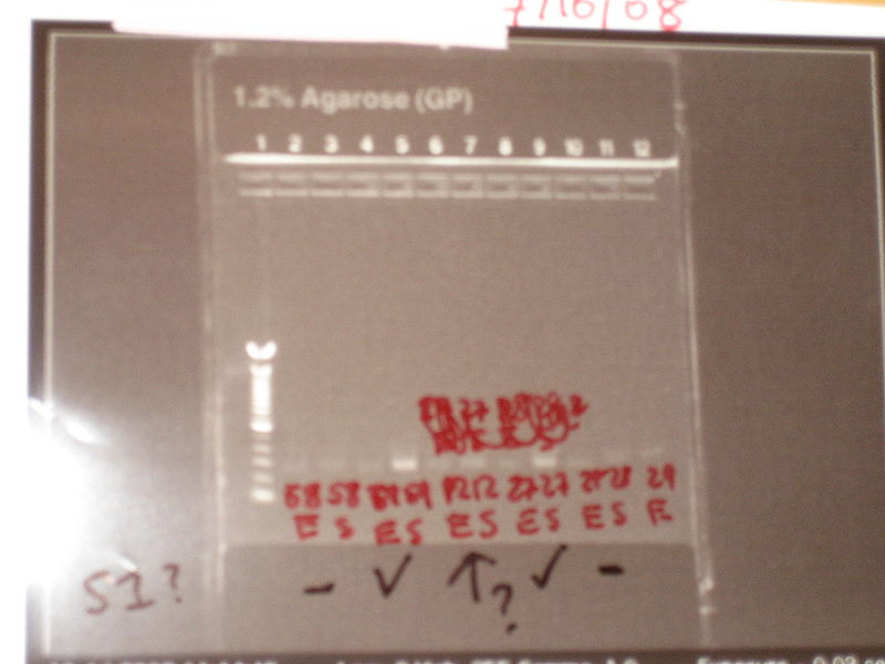 PCR 1215.JPG