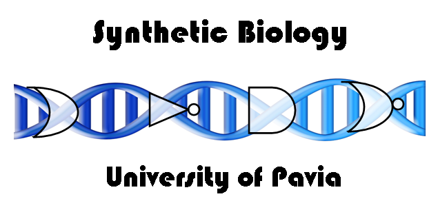 Pv logo synthbiol.png