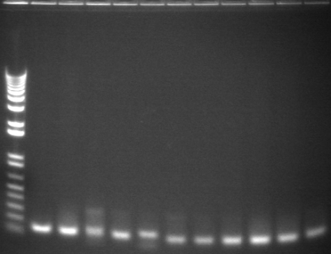 8-6 pcr eighteth 11fromback.jpg