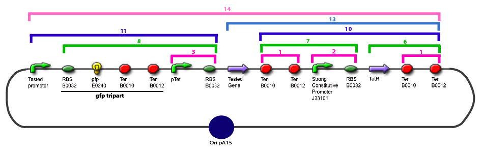 Plan characterization-plasmi general.png