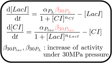 30MPa pressure model2.png