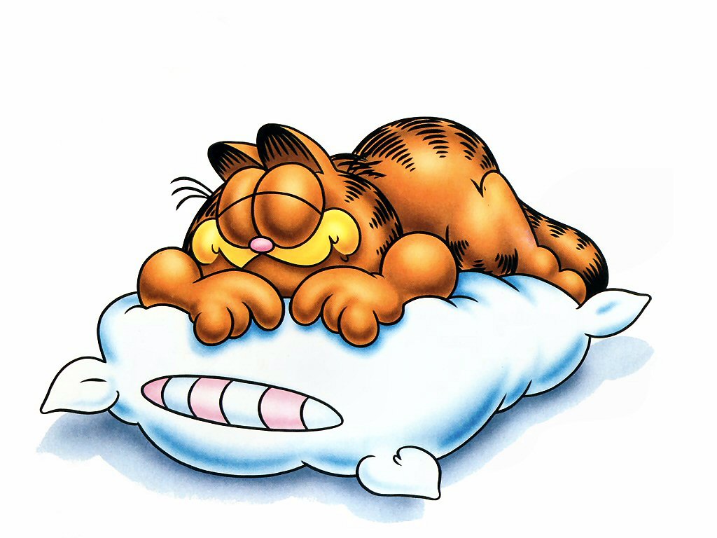 Garfield sleepy.jpg