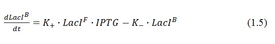 Equazione6.jpg