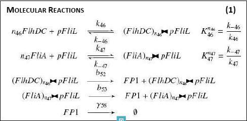Molecular Reactions.jpg