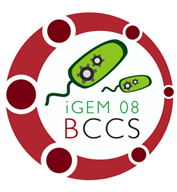 BCCS-iGEM-Logo.gif