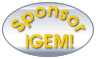 Become an iGEM sponsor