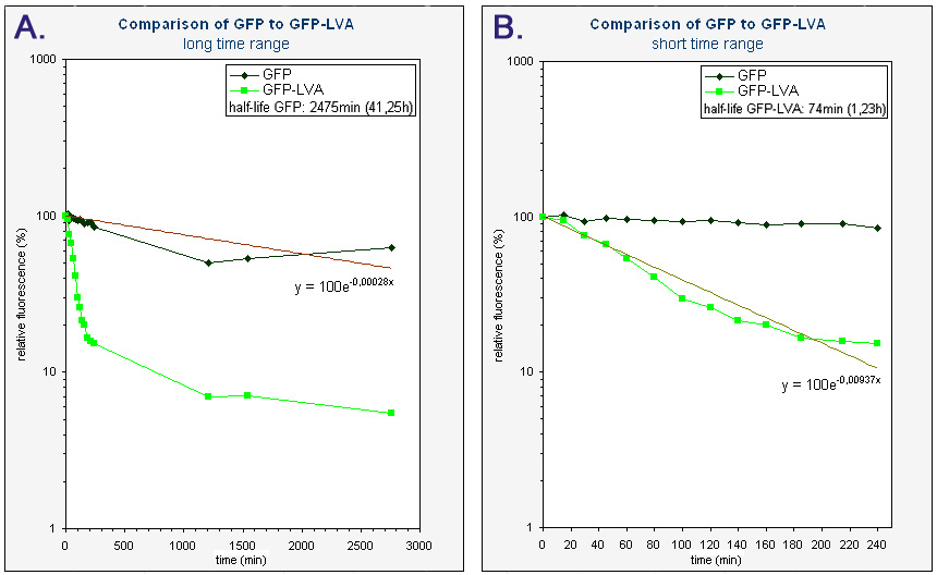 Data-GFP(2)b.JPG