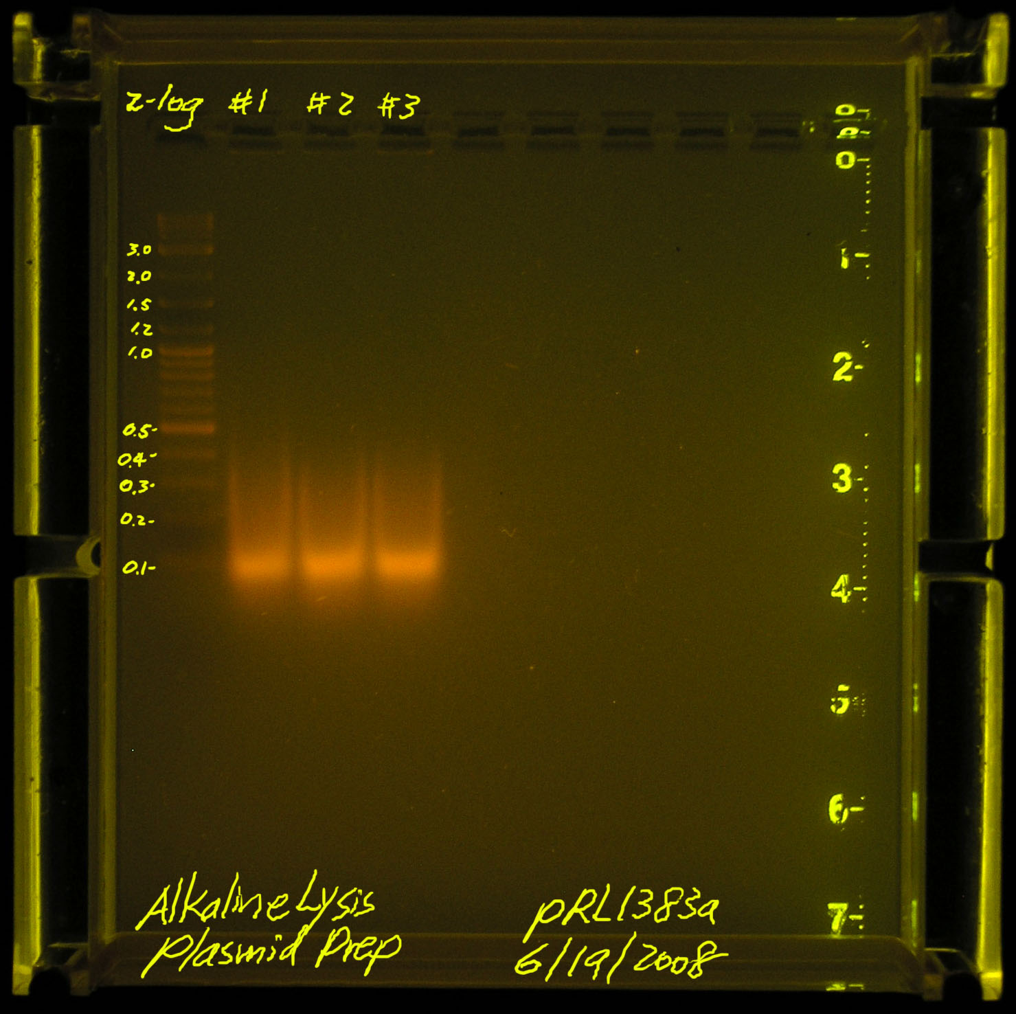 20080619-alkaline lysis plasmid prep.jpg