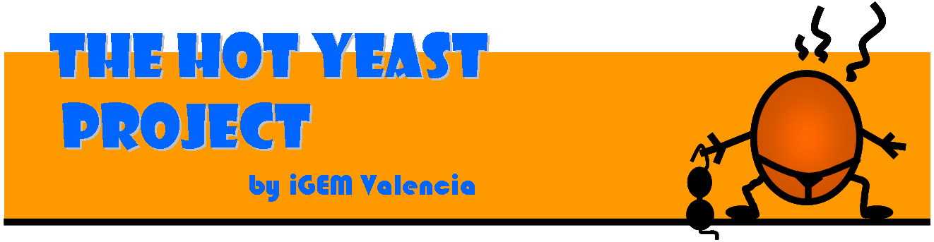 Valencia hotyeast naranja4.png