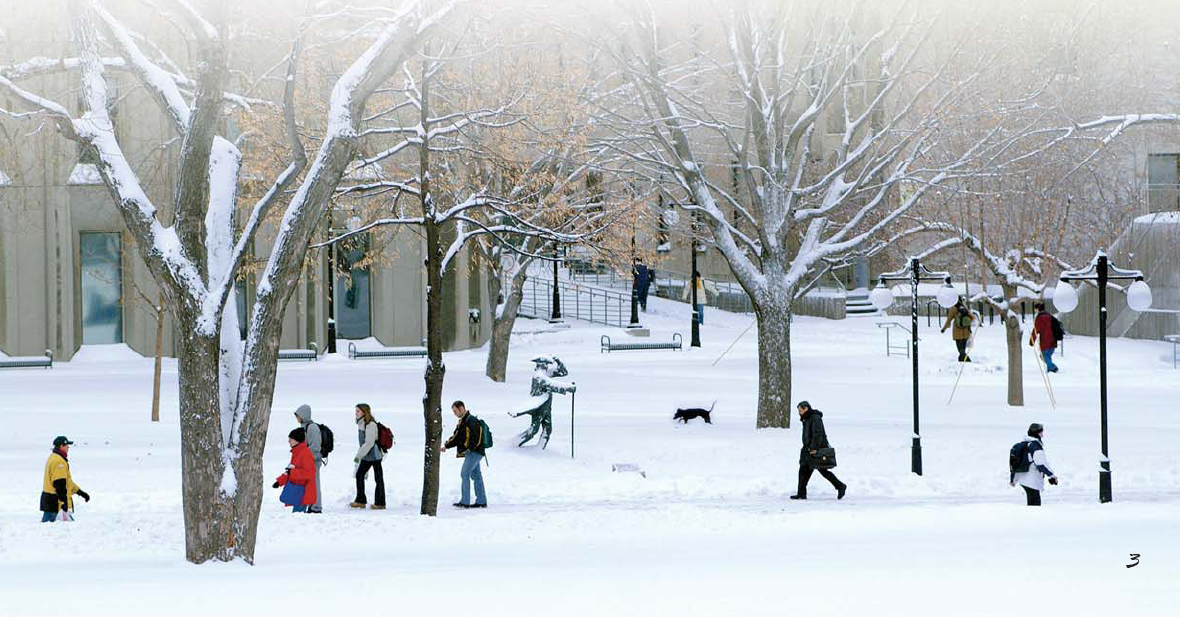 McGill in winter