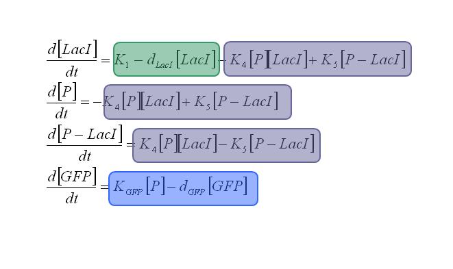 Equations plac.JPG