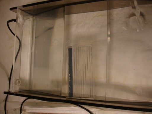 Agarose gel electrophoresis tank-1-.jpg