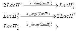 Dimerization of LacIIs.JPG