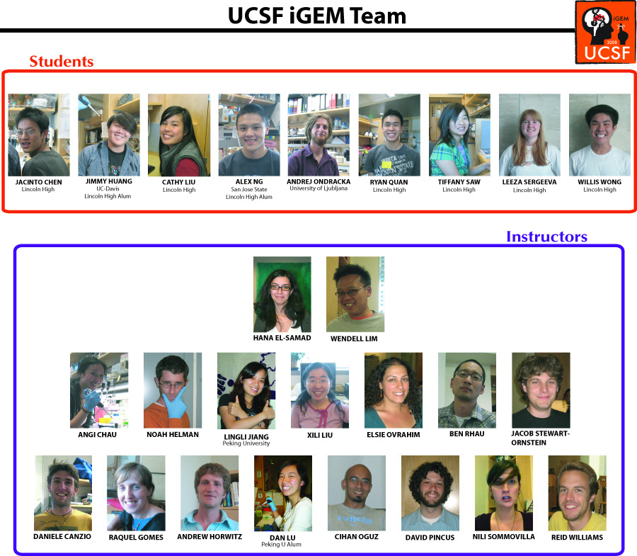 UCSF Team.jpg