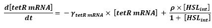 TetR mRNA.jpg