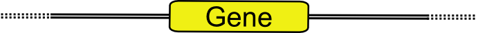General gene