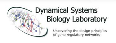 Dynamic Systems Biology Lab.JPG