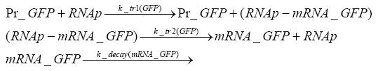 Transcription of gfp.JPG