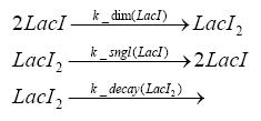 Dimerization of LacI.JPG