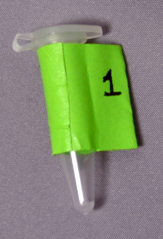 File:PCR tube-grey2.jpg