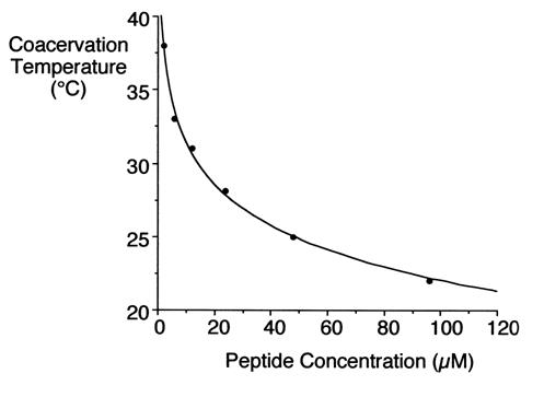 Dependence of coacervation on temperature and peptide concentration for EP20-24-24