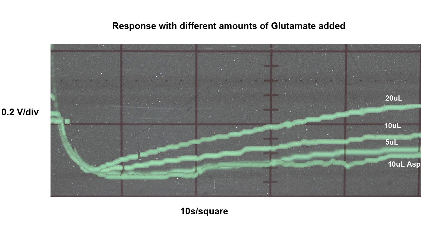 Output at different GluR0 concentrations
